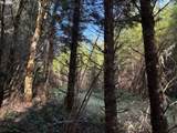00 Wildcat Mountain Dr - Photo 12
