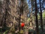 00 Wildcat Mountain Dr - Photo 14