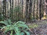 00 Wildcat Mountain Dr - Photo 15