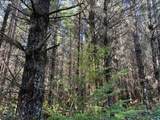00 Wildcat Mountain Dr - Photo 17