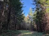 00 Wildcat Mountain Dr - Photo 19
