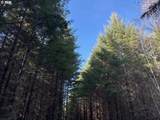 00 Wildcat Mountain Dr - Photo 20