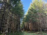 00 Wildcat Mountain Dr - Photo 21