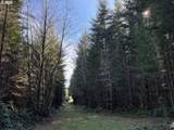 00 Wildcat Mountain Dr - Photo 23