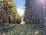 00 Wildcat Mountain Dr - Photo 27