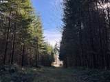 00 Wildcat Mountain Dr - Photo 28