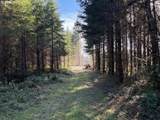 00 Wildcat Mountain Dr - Photo 29