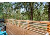 43599 Big Fall Creek Rd - Photo 31