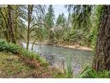 43599 Big Fall Creek Rd - Photo 34