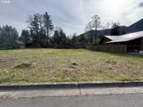 48448 Roaring Rapids Way - Photo 2
