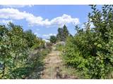 78807 Territorial Rd - Photo 34