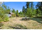 78807 Territorial Rd - Photo 37