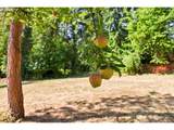 13903 Redland Rd - Photo 44