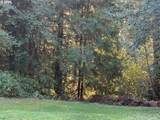 84226 Clear Lake Rd - Photo 13