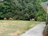 84226 Clear Lake Rd - Photo 14