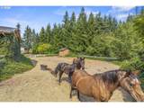 891 Young Rd - Photo 27
