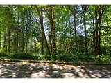 2427 Archwood Dr - Photo 6