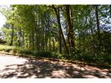 2427 Archwood Dr - Photo 7