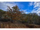 1379 Humbug Creek Rd - Photo 2