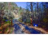1379 Humbug Creek Rd - Photo 29