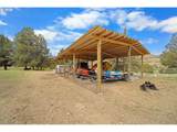 33817 Gage Rd - Photo 38
