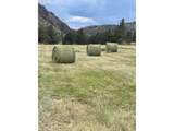 33817 Gage Rd - Photo 44