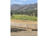 33817 Gage Rd - Photo 45
