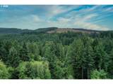 28502 Chapman Rd - Photo 35