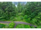 89336 North Ln - Photo 40