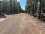  Bear Flat Road - Photo 14