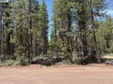 Bear Flat Road - Photo 17