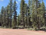  Bear Flat Road - Photo 20
