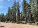  Bear Flat Road - Photo 21