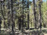  Bear Flat Road - Photo 22