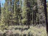  Bear Flat Road - Photo 23