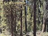  Bear Flat Road - Photo 26