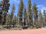  Bear Flat Road - Photo 28