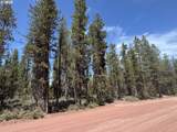  Bear Flat Road - Photo 29