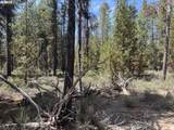  Bear Flat Road - Photo 3