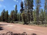  Bear Flat Road - Photo 31