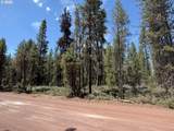  Bear Flat Road - Photo 32