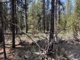  Bear Flat Road - Photo 4