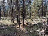  Bear Flat Road - Photo 5