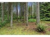 1516 389TH Ave - Photo 37