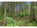 1516 389TH Ave - Photo 38