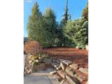1046 Deerfern Loop - Photo 37