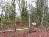 235 Anchor Rd - Photo 13