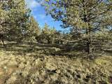 Canvasback Dr - Photo 17