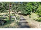 151 Treehill Loop - Photo 35