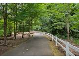 22866 Forest Creek Dr - Photo 33